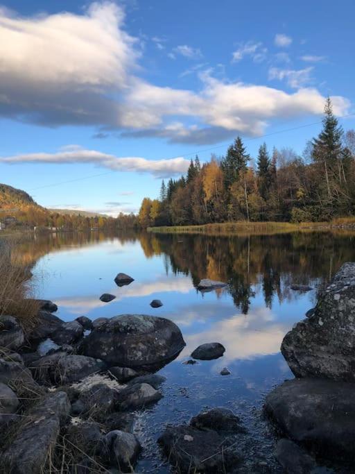 Delikat Hytte Omgitt Av Hallingdals Vakre Fjell Ål Buitenkant foto